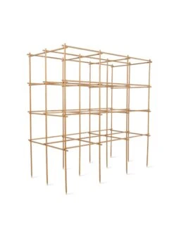 Tomato Six Pack Support -Garden Care Shop 8613143 5402 6 pack tomato support