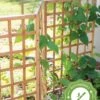 Bamboo Zig-Zag Trellis 24" X 36" 2 Bamboo Zig-Zag Trellis 24" X 36" -Garden Care Shop 8613151 15