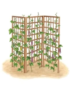 Bamboo Zig-Zag Trellis 24" X 36" -Garden Care Shop 8613151 art flat