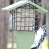 Birds Choice⢠Tail Prop Feeder 2 Birds Choice⢠Tail Prop Feeder -Garden Care Shop 8613220 08v