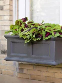 Fairfield Self-Watering Window Box, 2’ -Garden Care Shop 8613268 08V tif