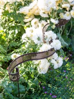 Scroll Linking Stakes, Set Of 3