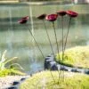 Red Poppy Sways, Set Of 5 -Garden Care Shop 8613343 2 red poppy sways set of 5