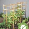 Bamboo Tomato Cages, Set Of 3 1 Bamboo Tomato Cages, Set Of 3 -Garden Care Shop 8613426 7
