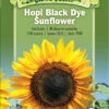 Hopi Black Dye Sunflower Organic Seeds 2 Hopi Black Dye Sunflower Organic Seeds -Garden Care Shop 8613630 01v hopi black dye sunflower
