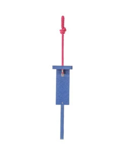 Color Pop Suet Feeder With Tail Prop From Recycled Plastic -Garden Care Shop 8613787 04v