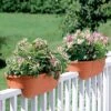 2' X 4' Railing Planter, 25" -Garden Care Shop GS34336 01 24 inch 2x6 railing planters