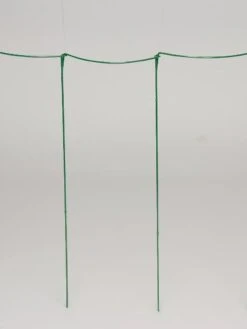 Curved Linking Stakes -Garden Care Shop GS35241 04S tif
