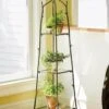 Branch Plant Stand -Garden Care Shop GS37315 01 tif