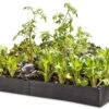 Grow Bed Extension Kit 2 Grow Bed Extension Kit -Garden Care Shop GS37503 01 tif