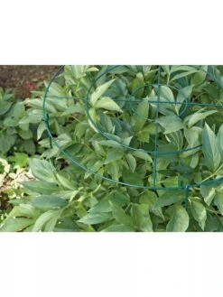 Grow Through Supports, Set Of 3 9 Grow Through Supports, Set Of 3 -Garden Care Shop GS40172 01 1