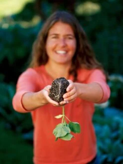 Deep Root Seedstarting System, Black -Garden Care Shop GSCOVSPR06D2 01