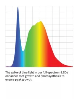 Bamboo Display LED Grow Light Garden -Garden Care Shop LED ColorSpectrum grid PDP 7