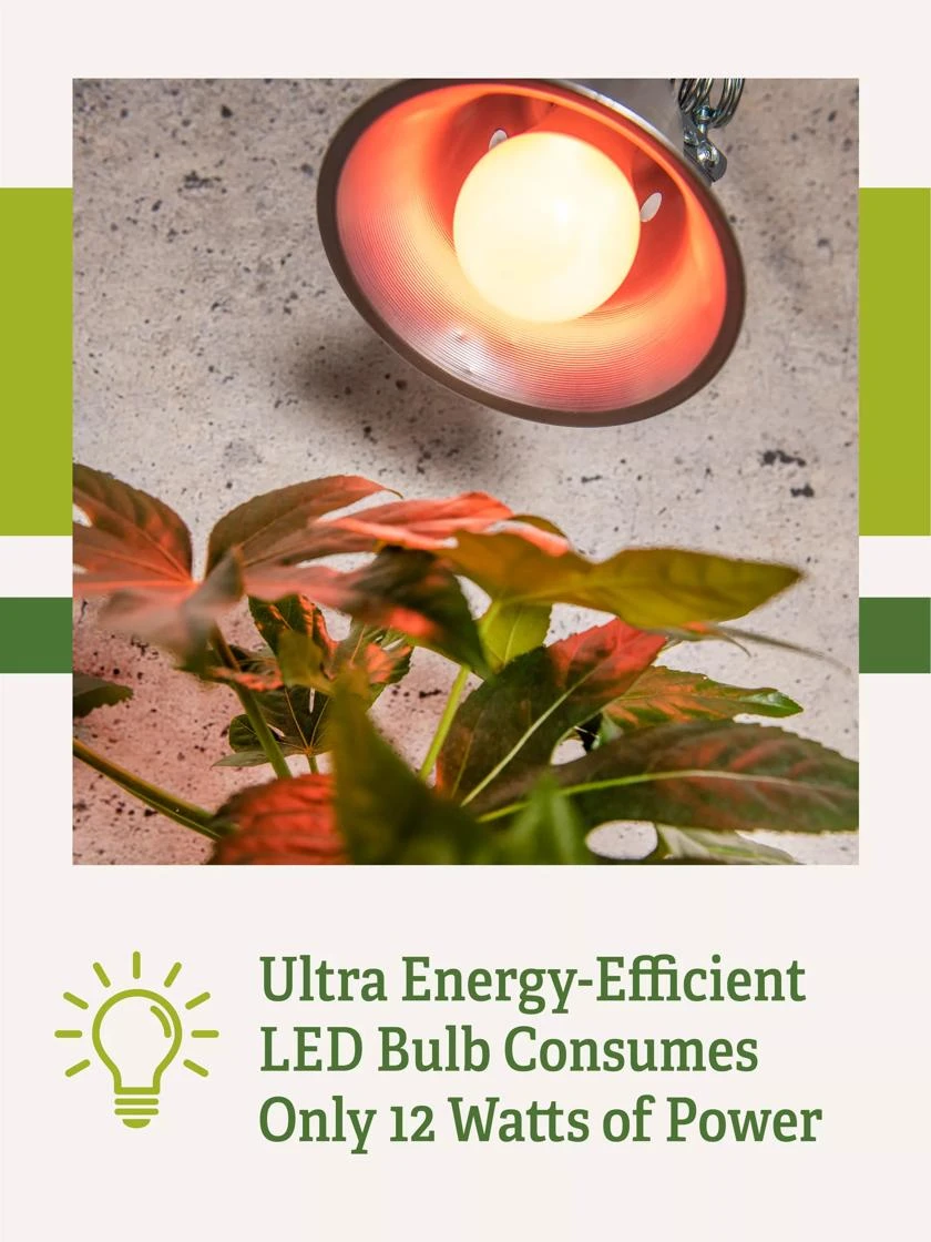 Miracle LED® Absolute Daylight™ Max Flowering Grow Light Bulb 6 Miracle LED® Absolute Daylight™ Max Flowering Grow Light Bulb - Image 4