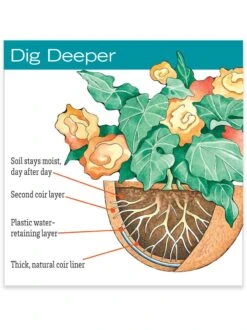 AquaSav™ Replacement Liners, Set Of 3 -Garden Care Shop hiw 38 583