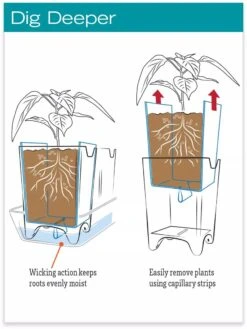 Stoneware Self-Watering Windowsill Planters, Set Of 2 -Garden Care Shop hiw 8593943 jpg