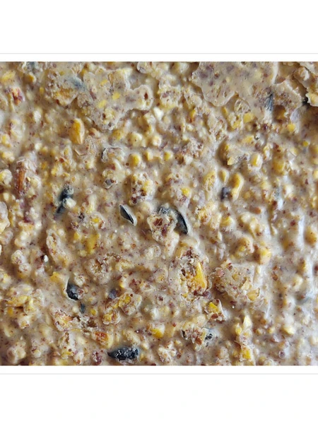 Woodpecker Almond Suet, 11.75 OZ, 12 Pack 6 Woodpecker Almond Suet, 11.75 OZ, 12 Pack - Image 4