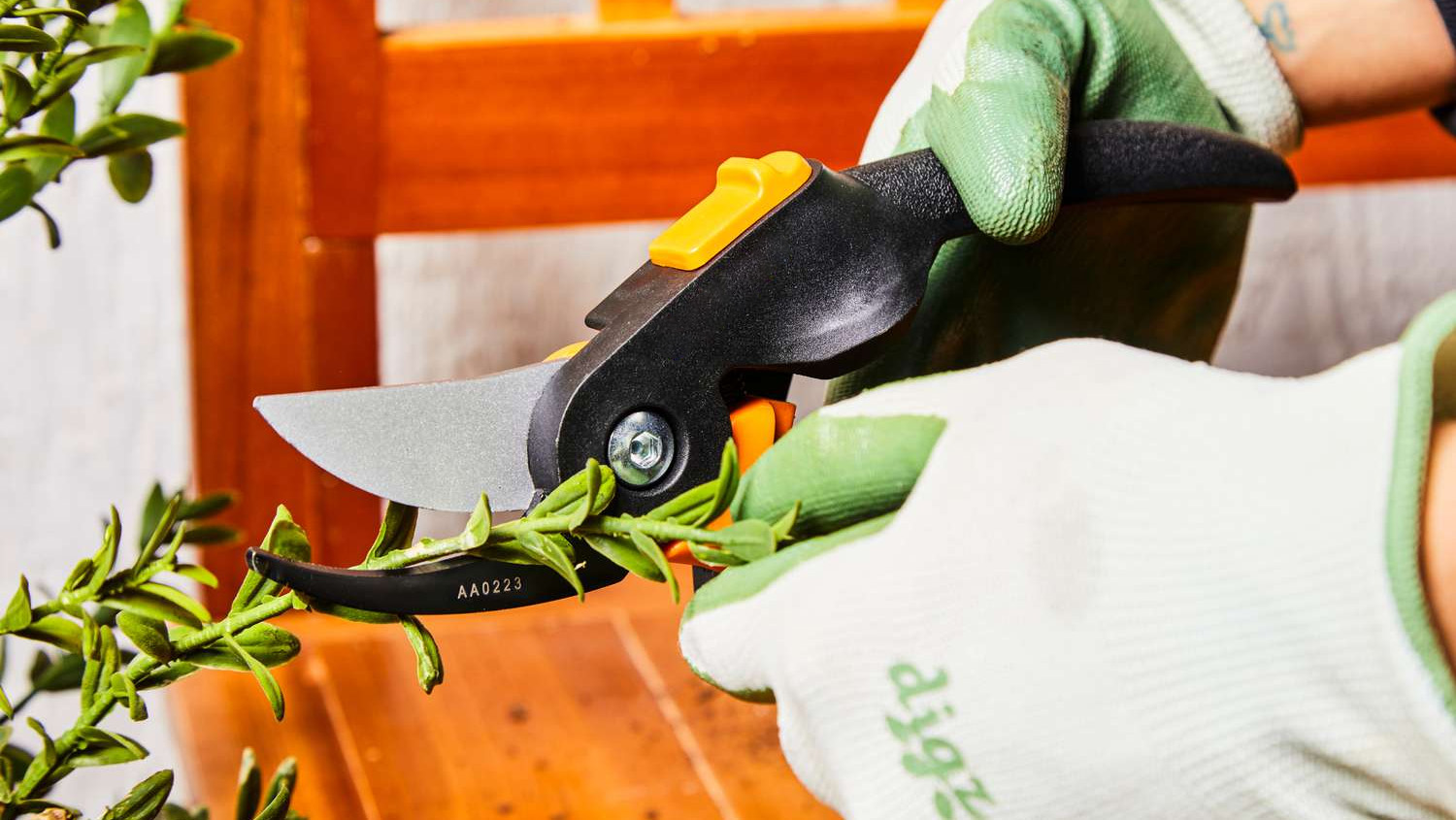 Garden Care Shop -Garden Care Shop 1