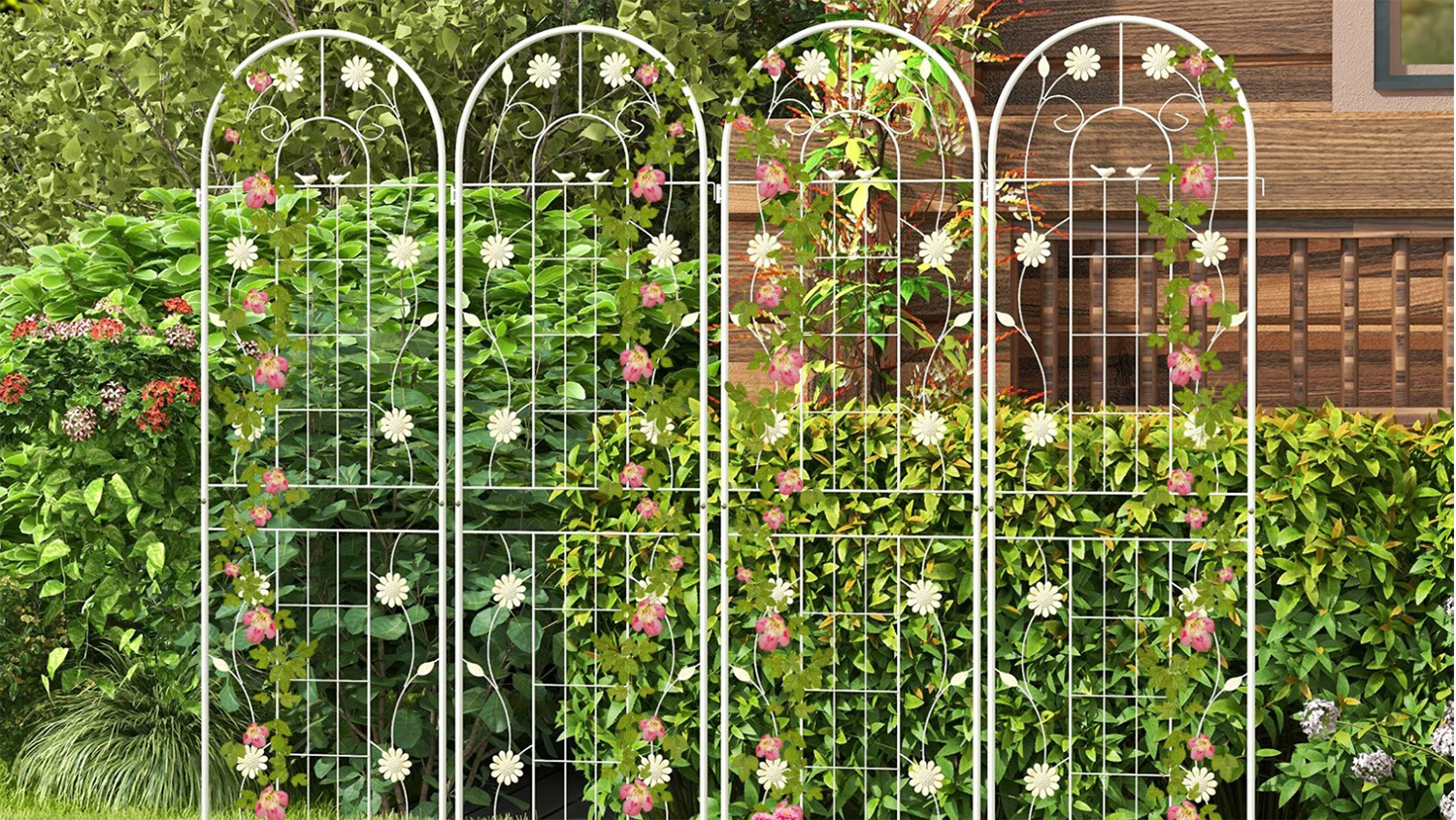 Garden Care Shop -Garden Care Shop 2